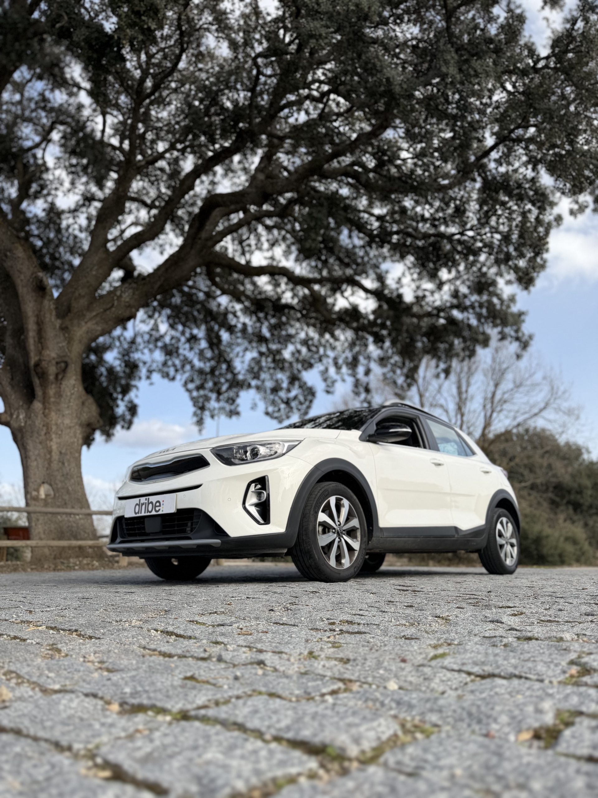 KIA STONIC DRIVE 1.0 TGDI 120CV MHEV