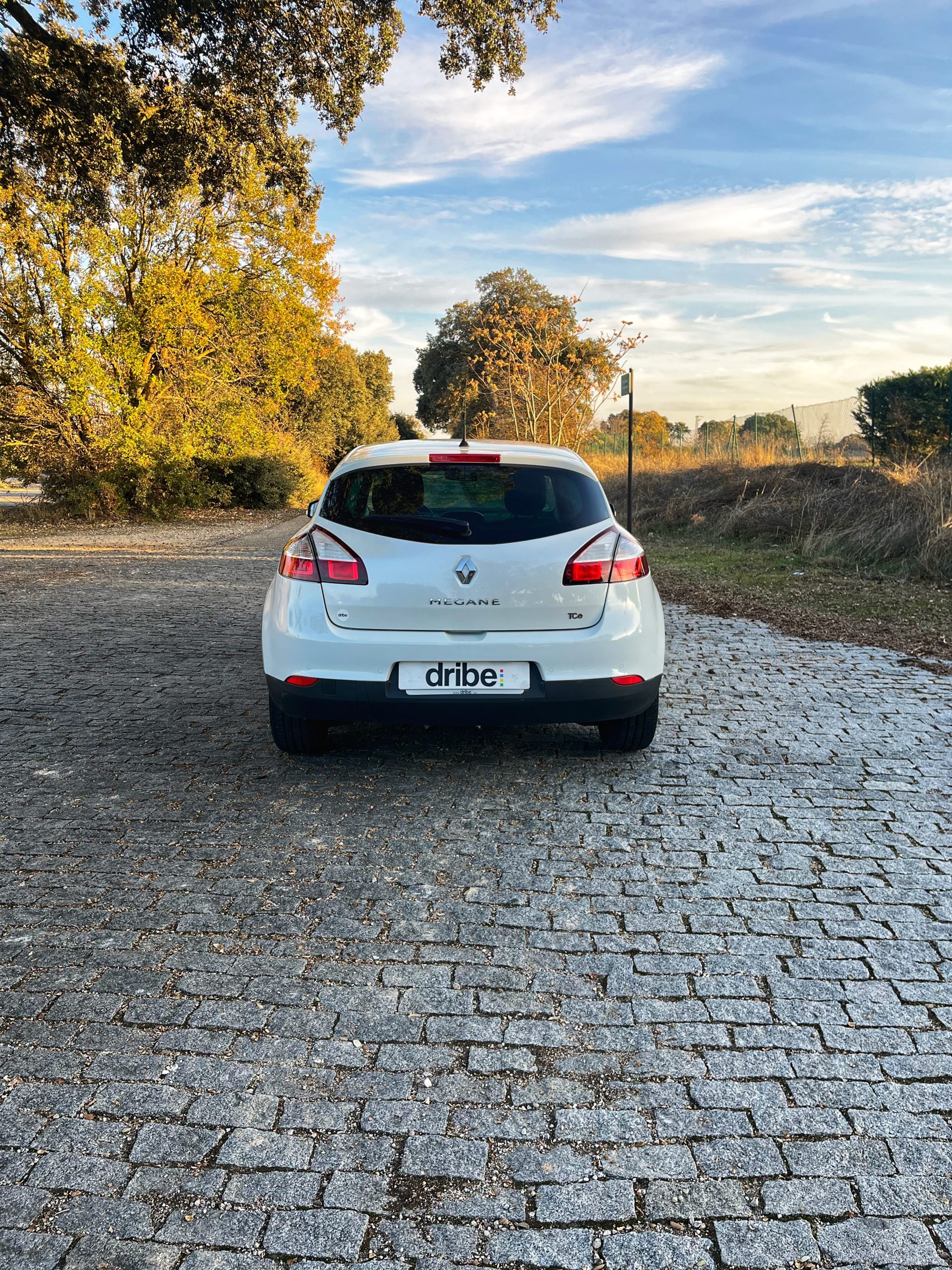 RENAULT MEGANE LIMITED 1.2 TCE 115CV