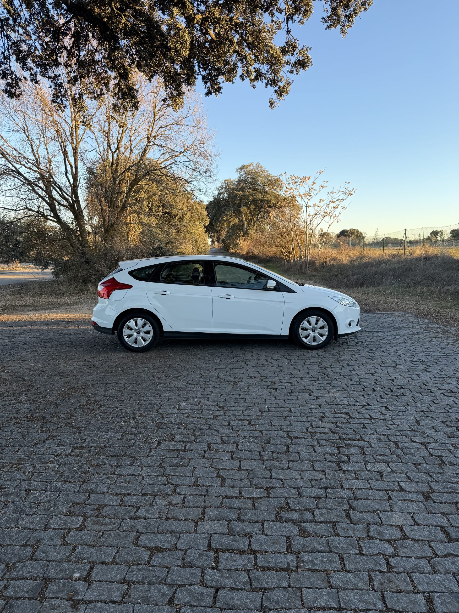 FORD FOCUS TREND 1.6 TDCI 95CV