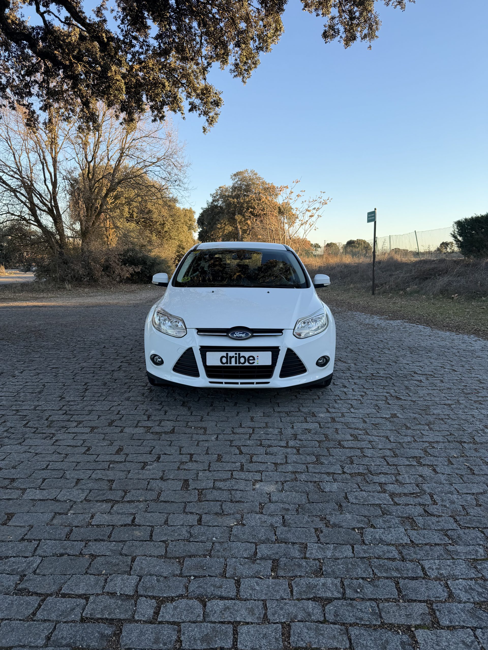 FORD FOCUS TREND 1.6 TDCI 95CV