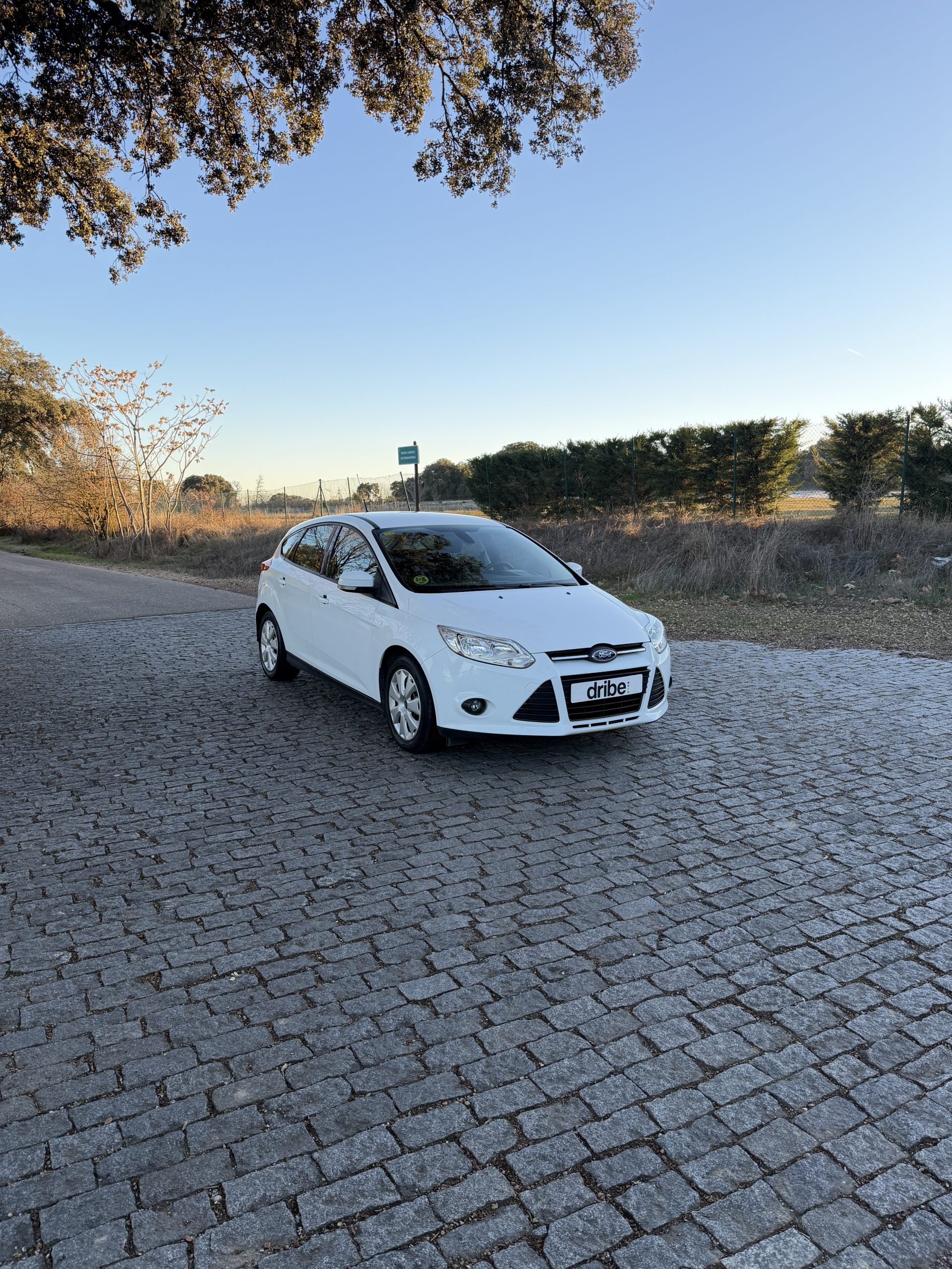 FORD FOCUS TREND 1.6 TDCI 95CV