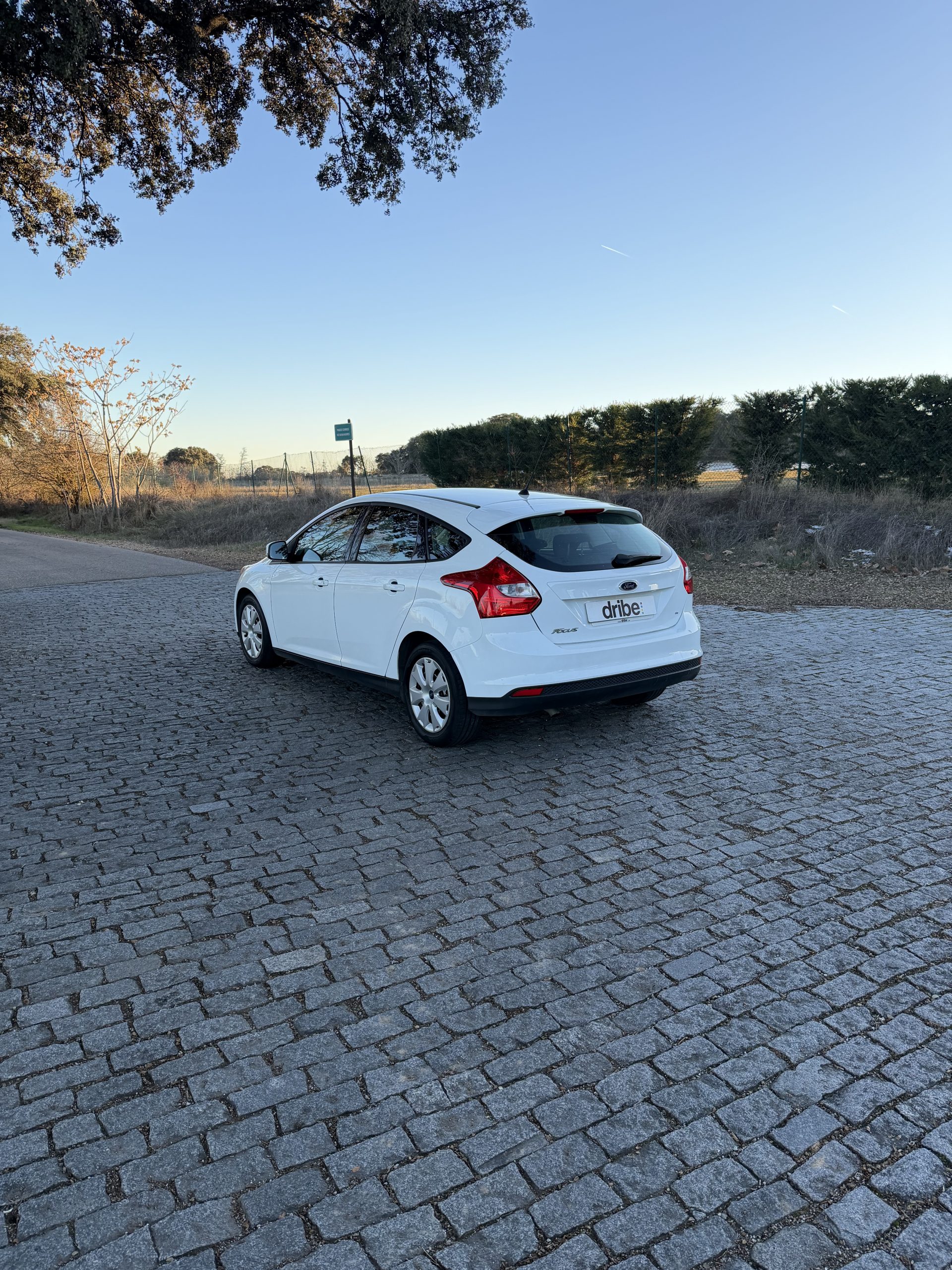 FORD FOCUS TREND 1.6 TDCI 95CV