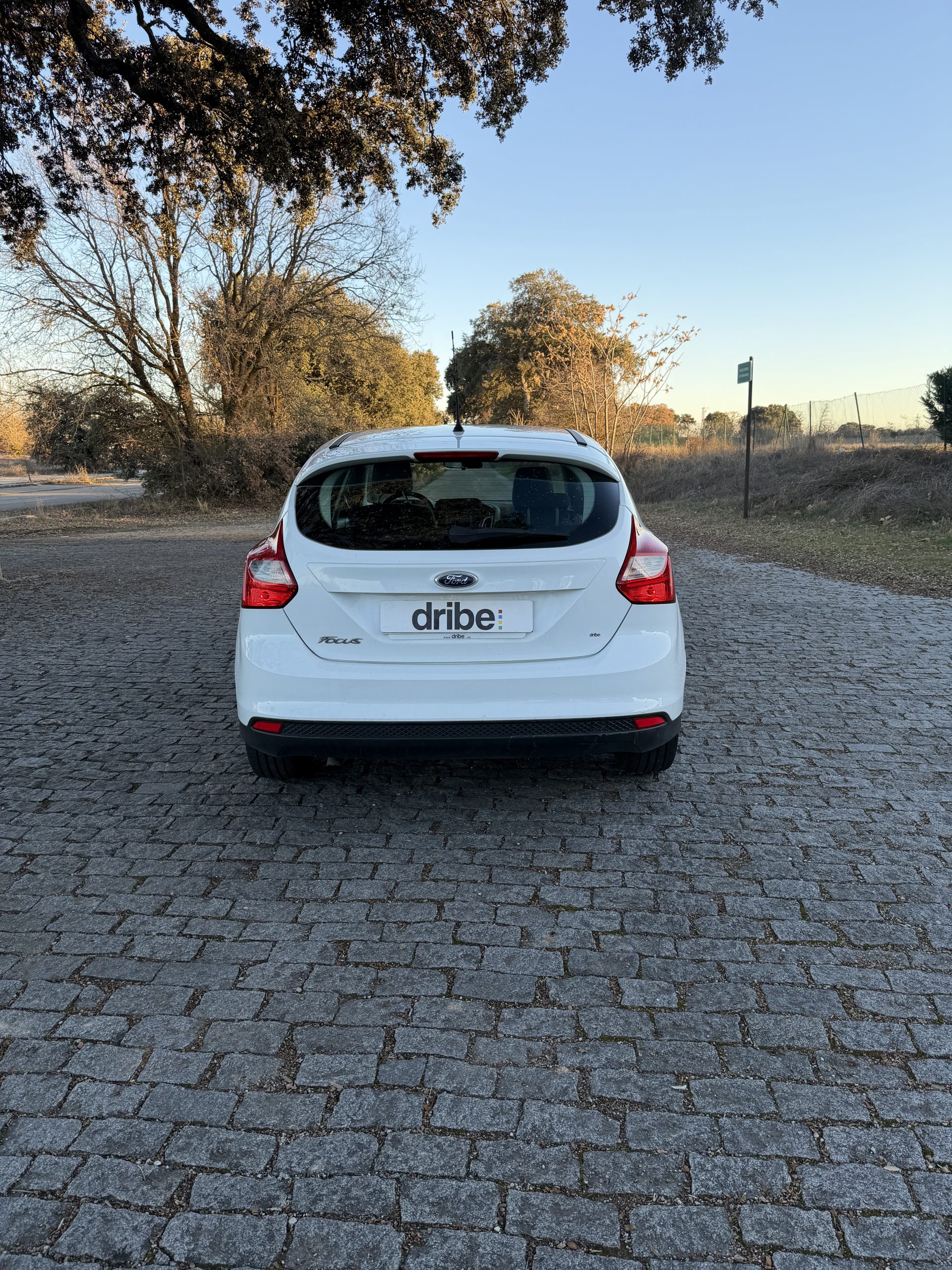 FORD FOCUS TREND 1.6 TDCI 95CV