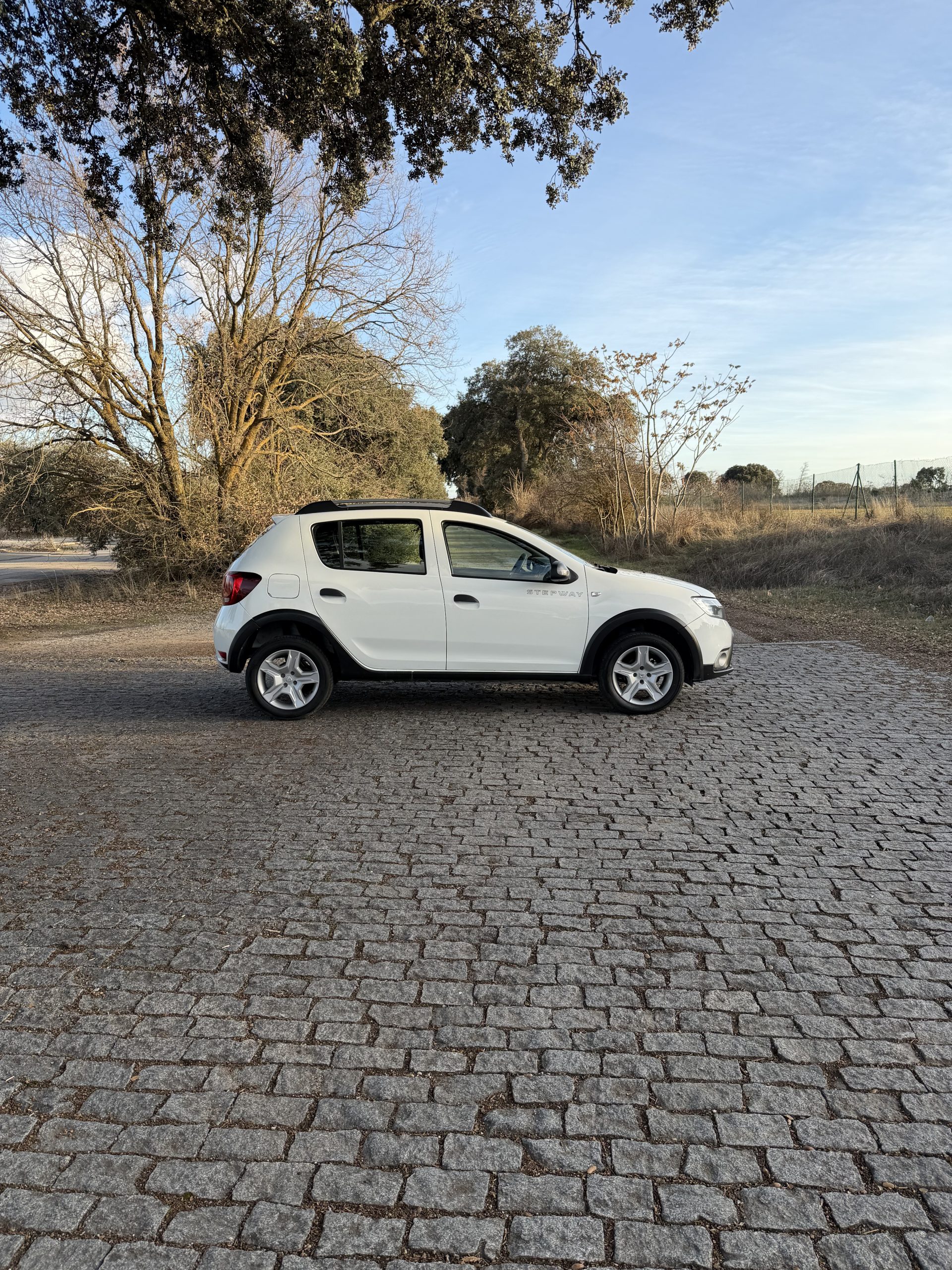 DACIA SANDERO STEPWAY 1.5 DCI 90CV