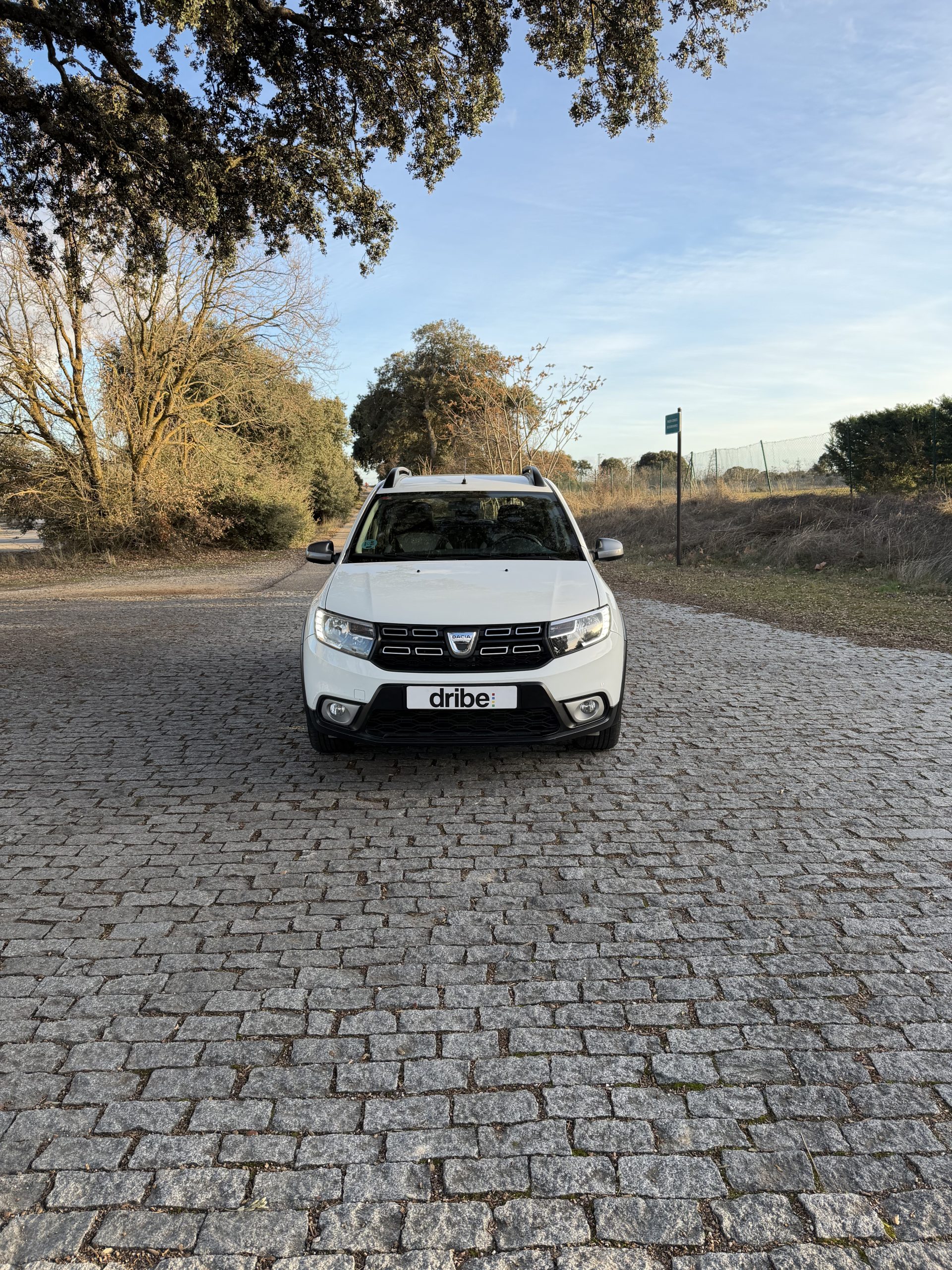 DACIA SANDERO STEPWAY 1.5 DCI 90CV