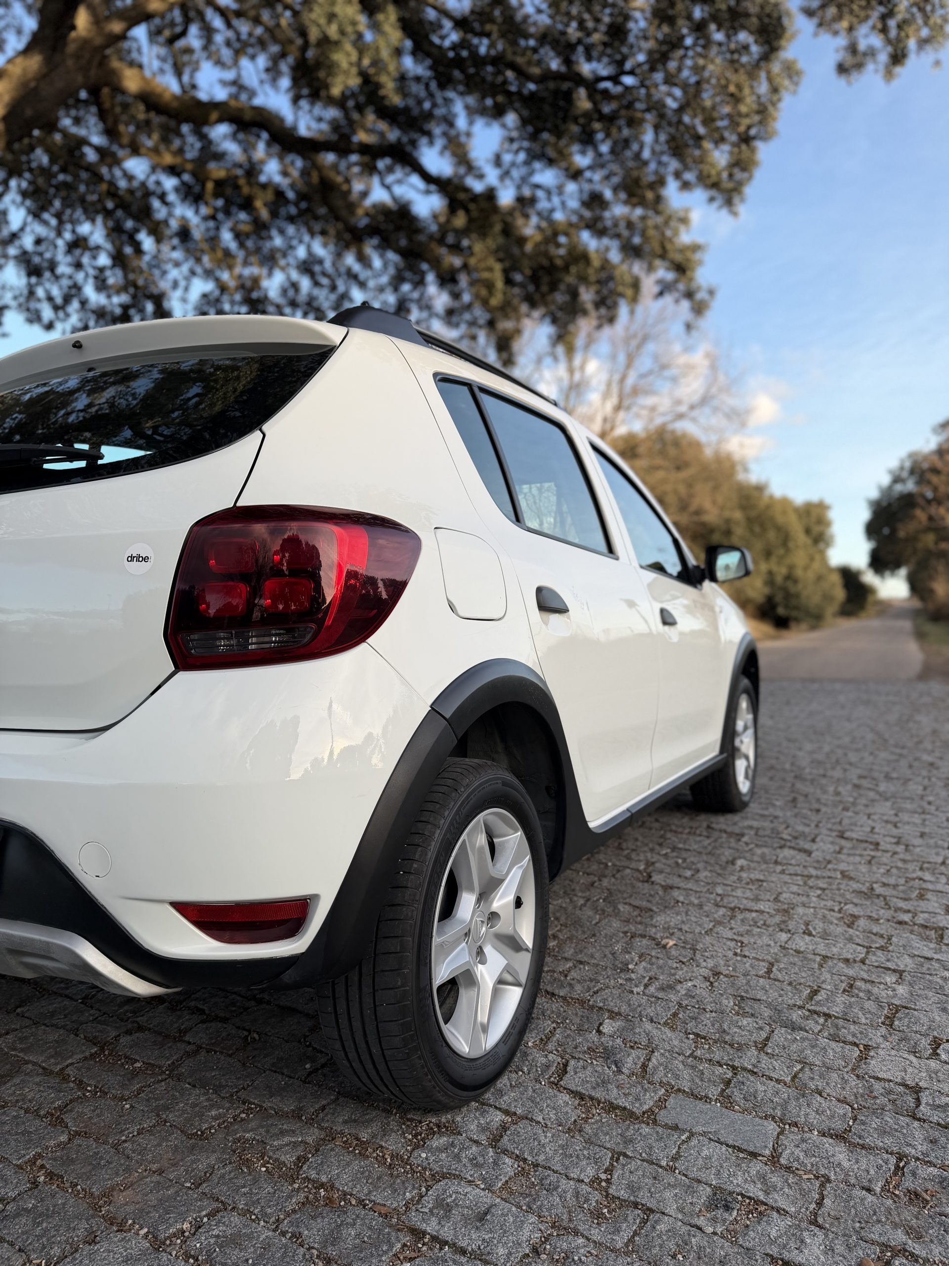 DACIA SANDERO STEPWAY 1.5 DCI 90CV