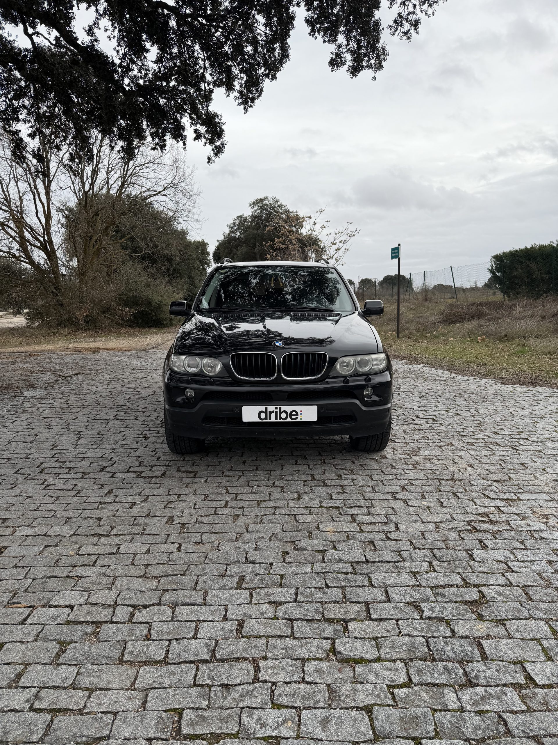 BMW X5 3.0d 218cv