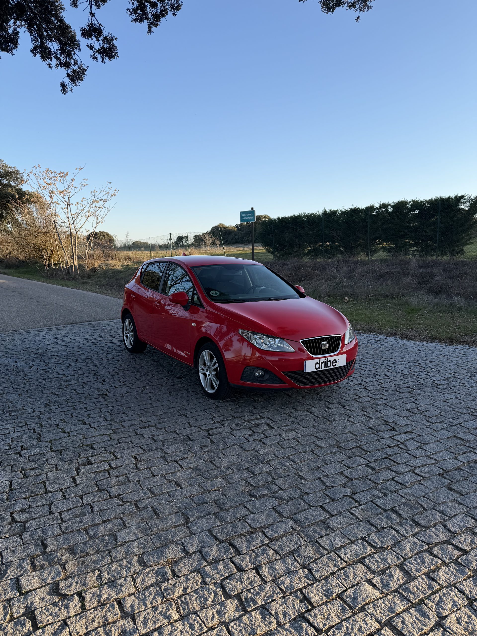 SEAT IBIZA COPA 1.6 TDI 90CV