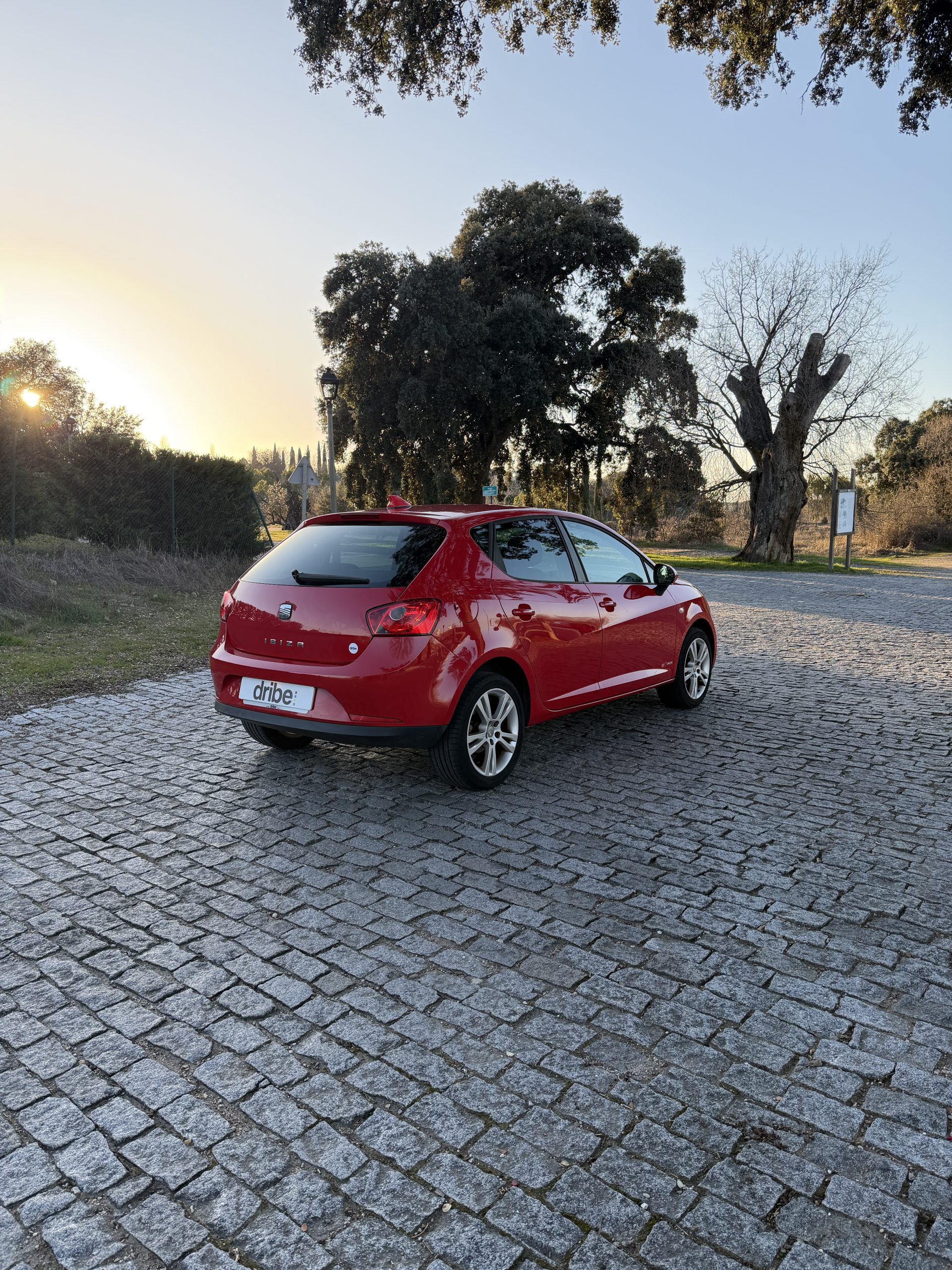 SEAT IBIZA COPA 1.6 TDI 90CV