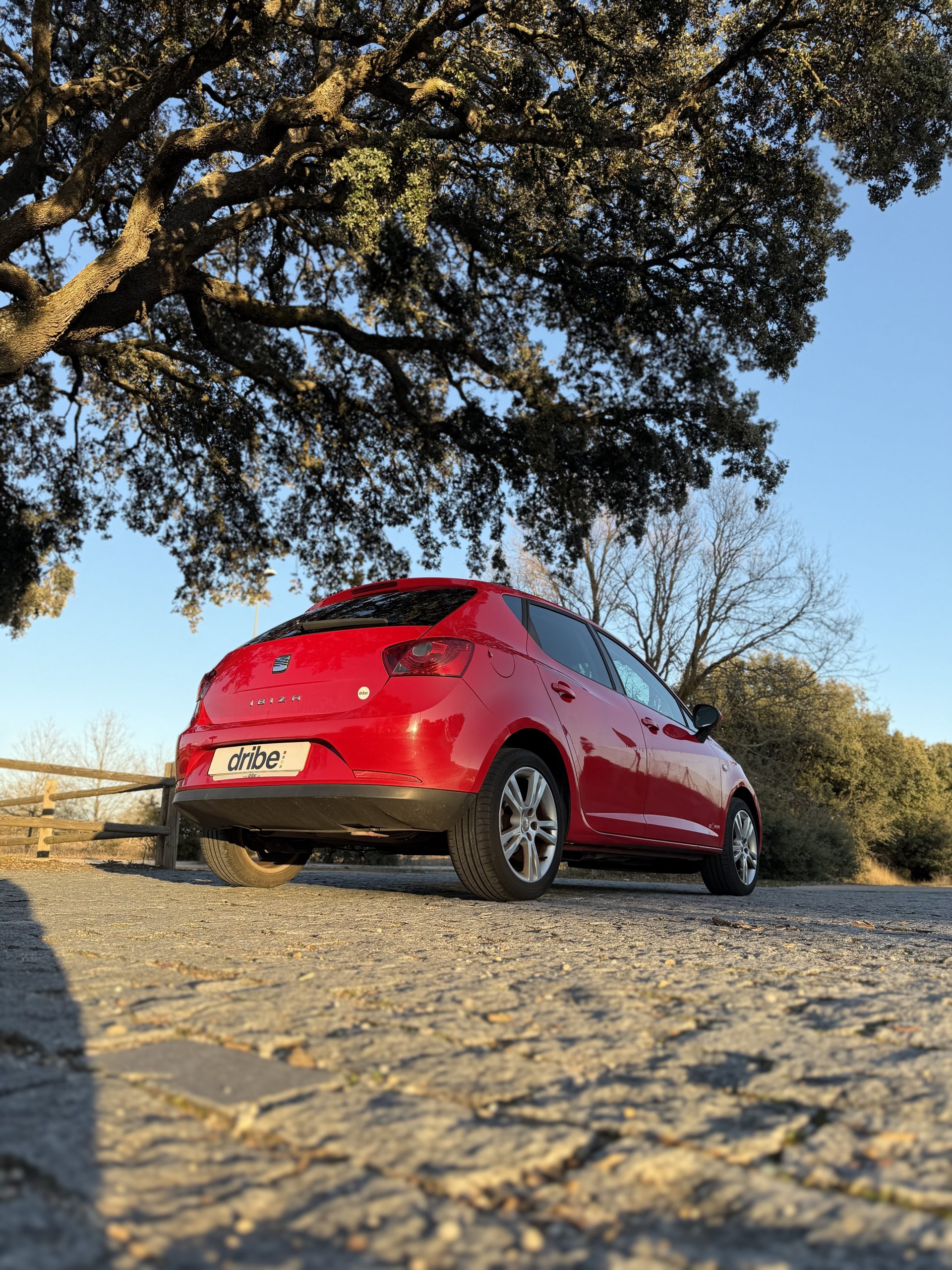 SEAT IBIZA COPA 1.6 TDI 90CV