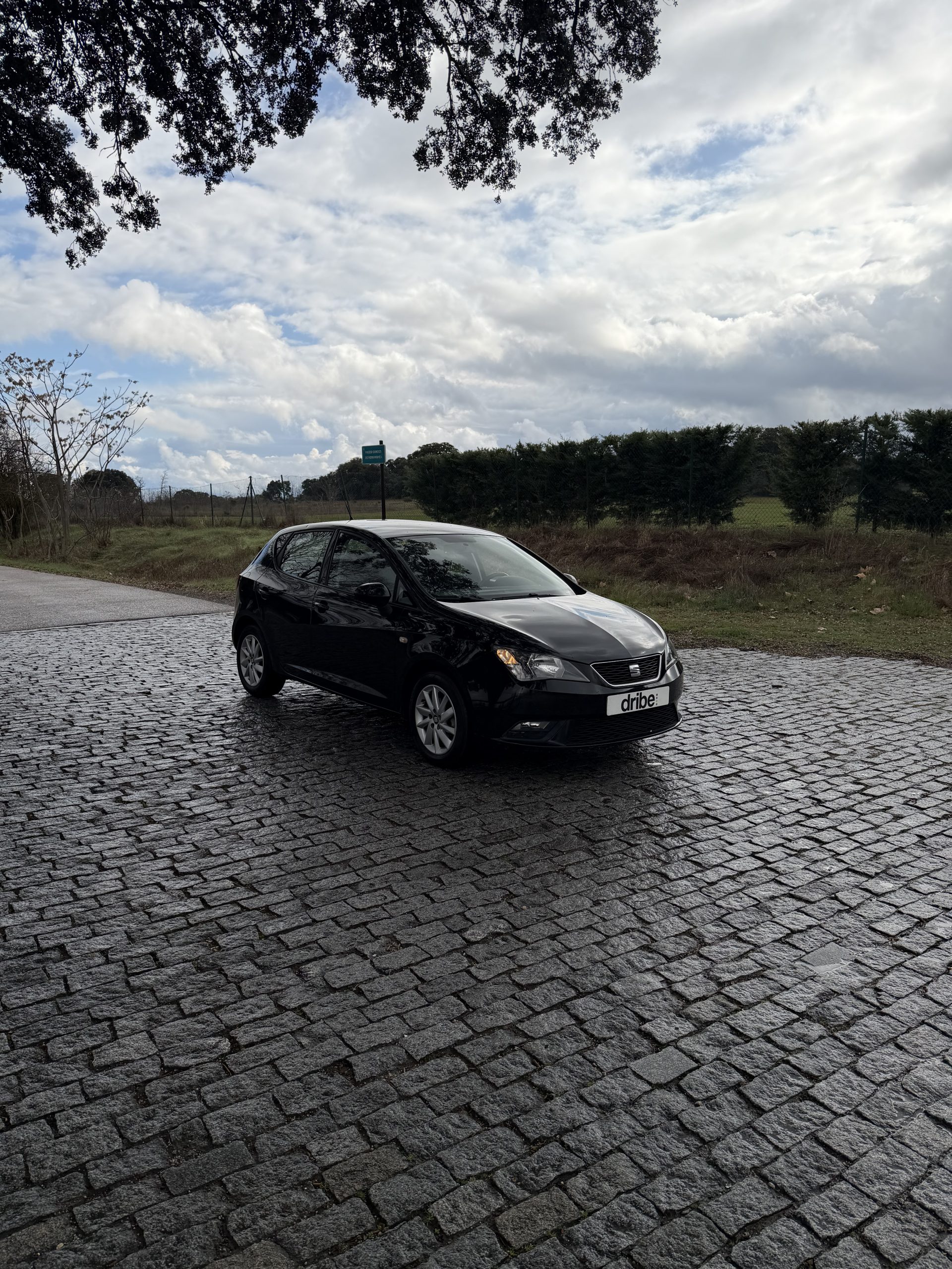 SEAT IBIZA STYLE 1.2 TSI 90CV