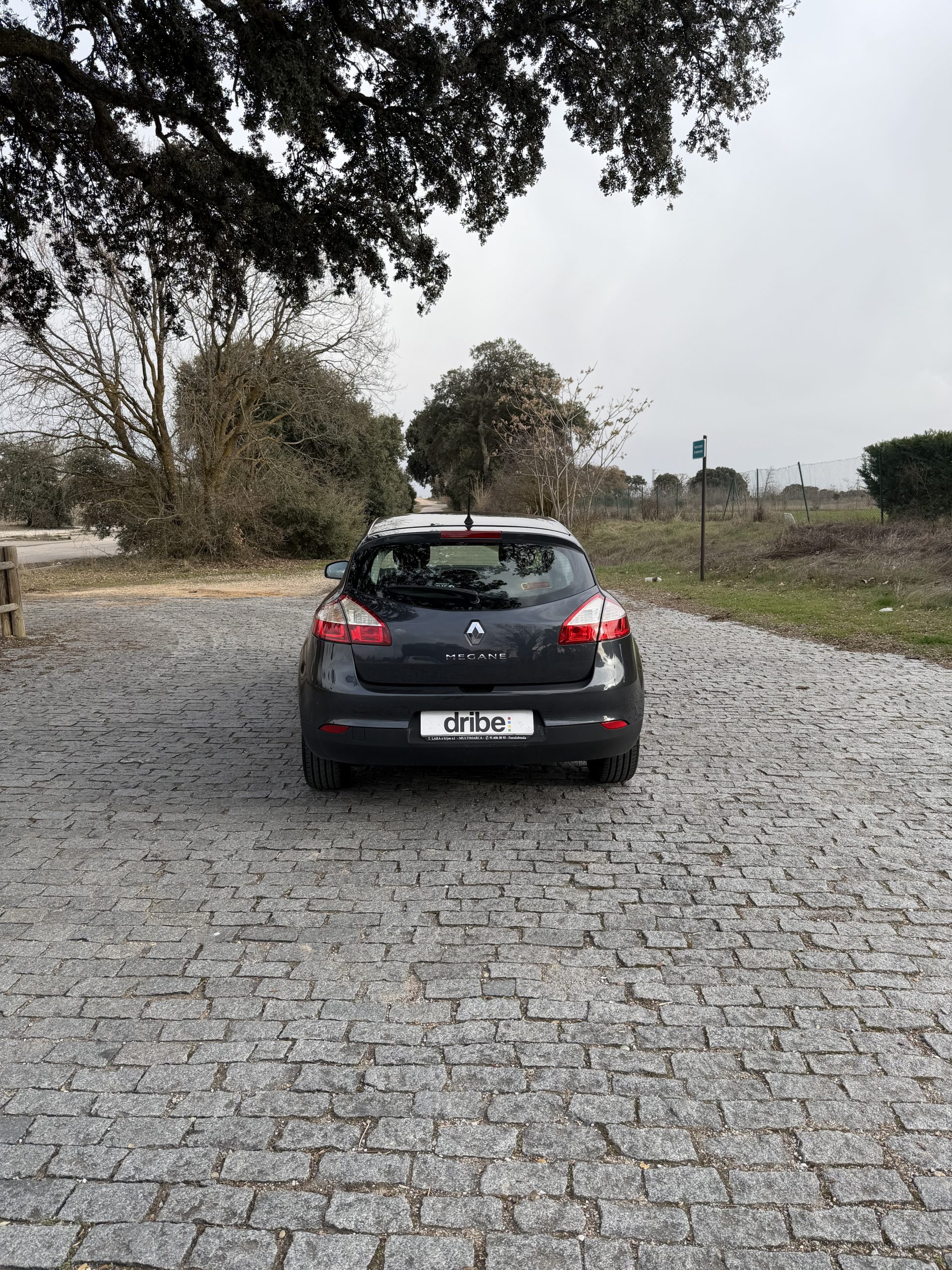 RENAULT MEGANE DYNAMIQUE 1.6 16V 110CV