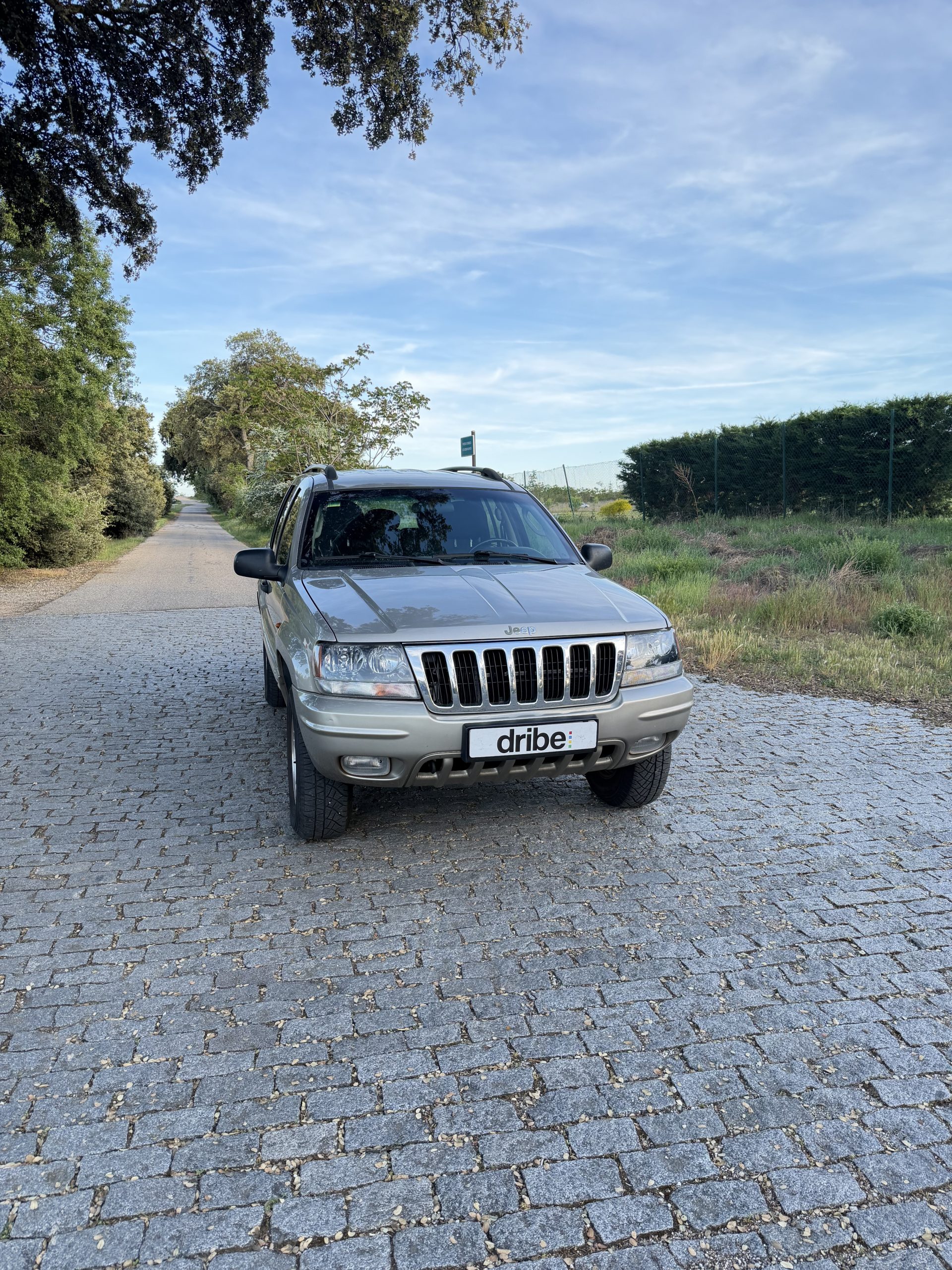 VENDIDO: JEEP GRAND CHEROKEE VERMONT 2.7 CRD 163CV