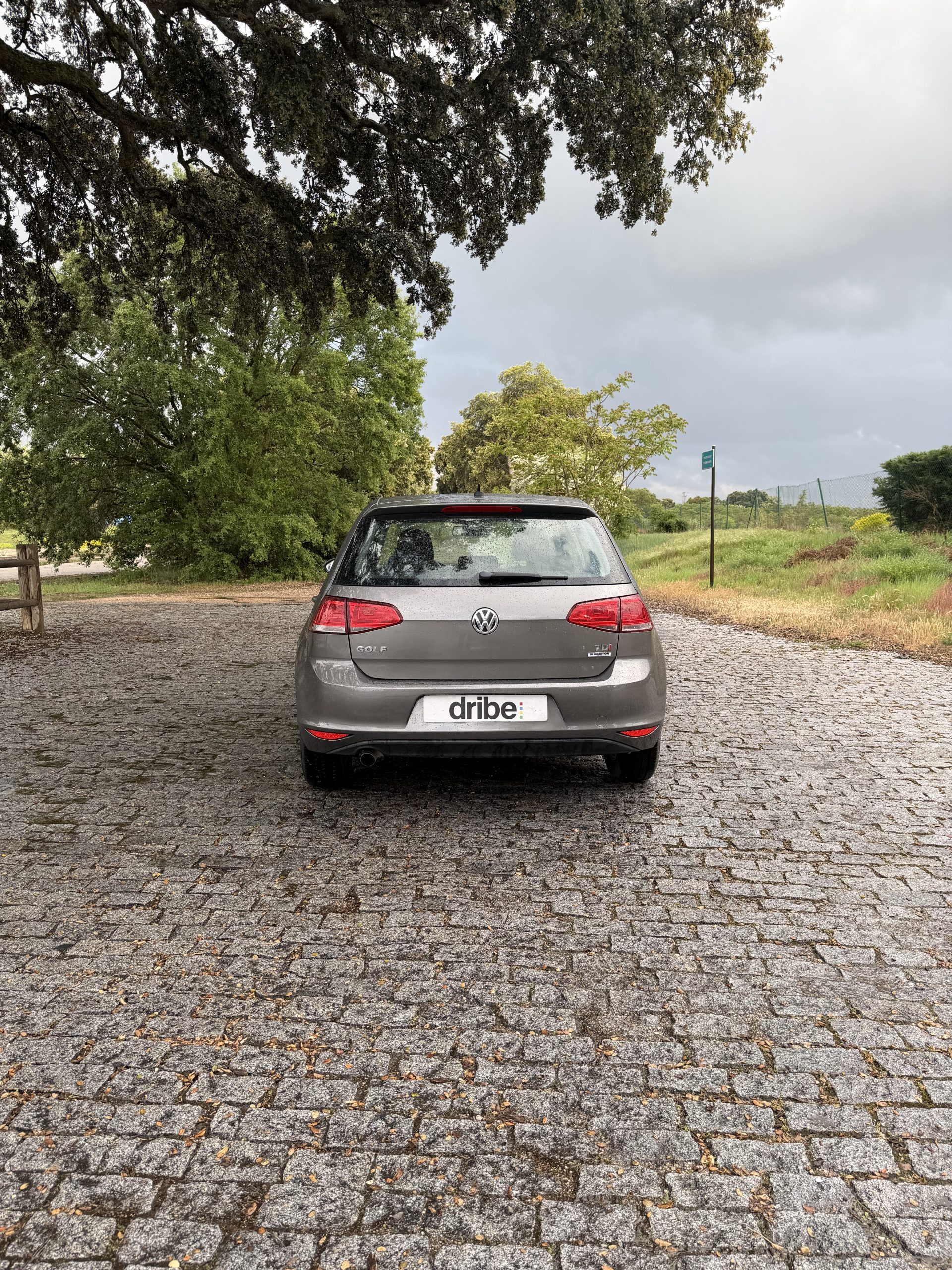 VENDIDO: VOLKSWAGEN GOLF BUSINESS 1.6 TDI 110CV BMT