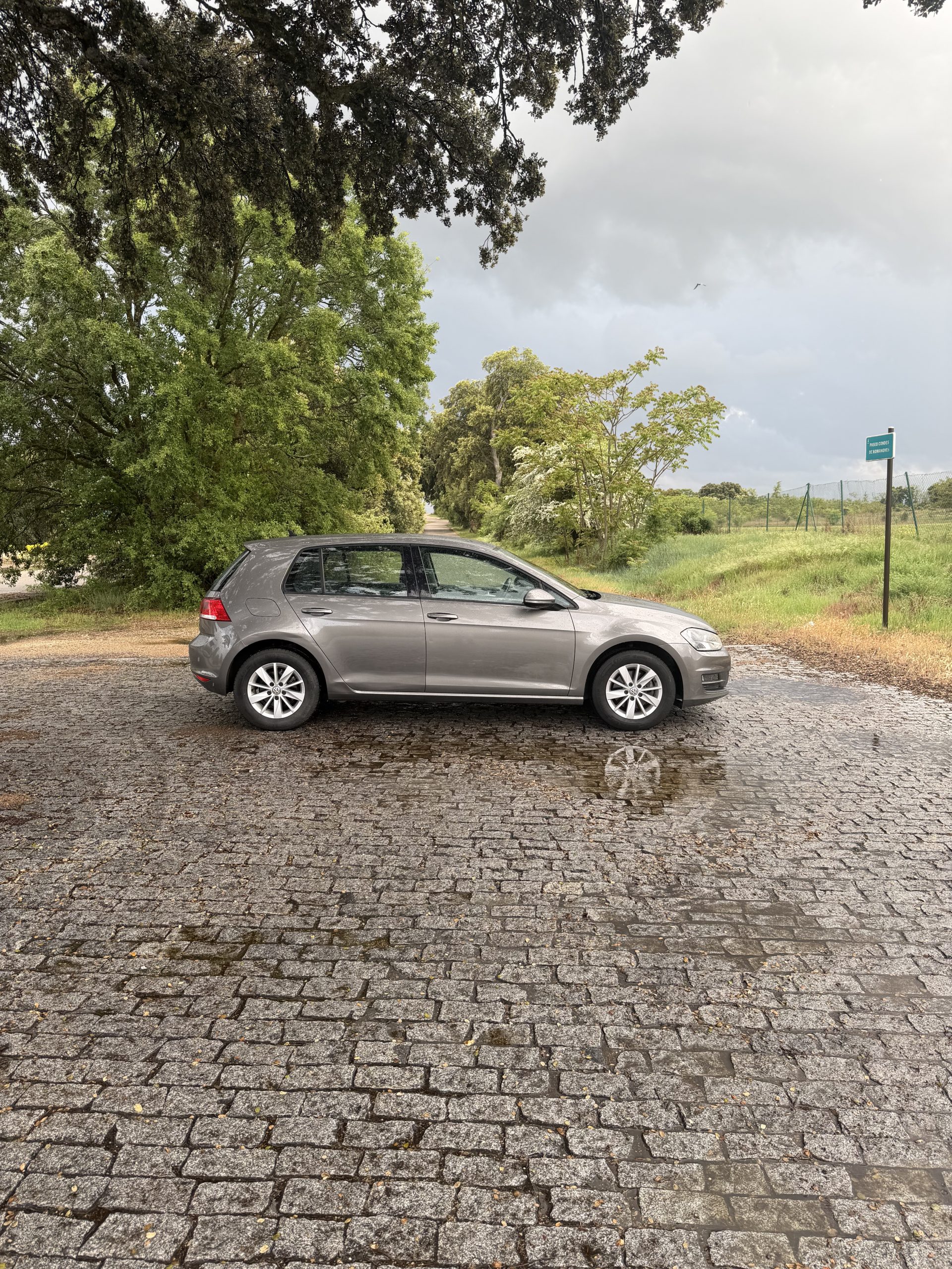 VENDIDO: VOLKSWAGEN GOLF BUSINESS 1.6 TDI 110CV BMT