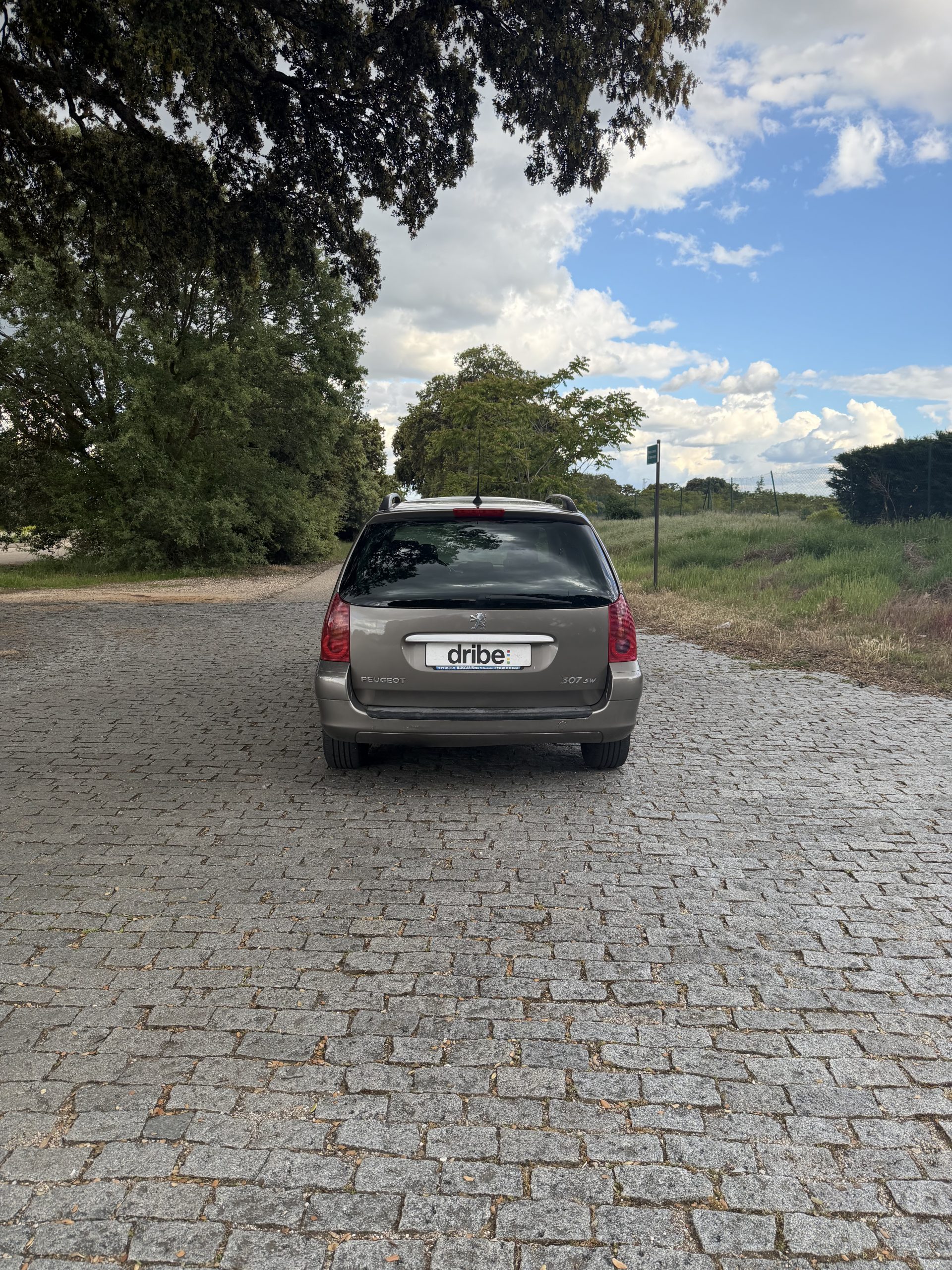 VENDIDO: PEUGEOT 307 SW 2.0 HDI 110CV