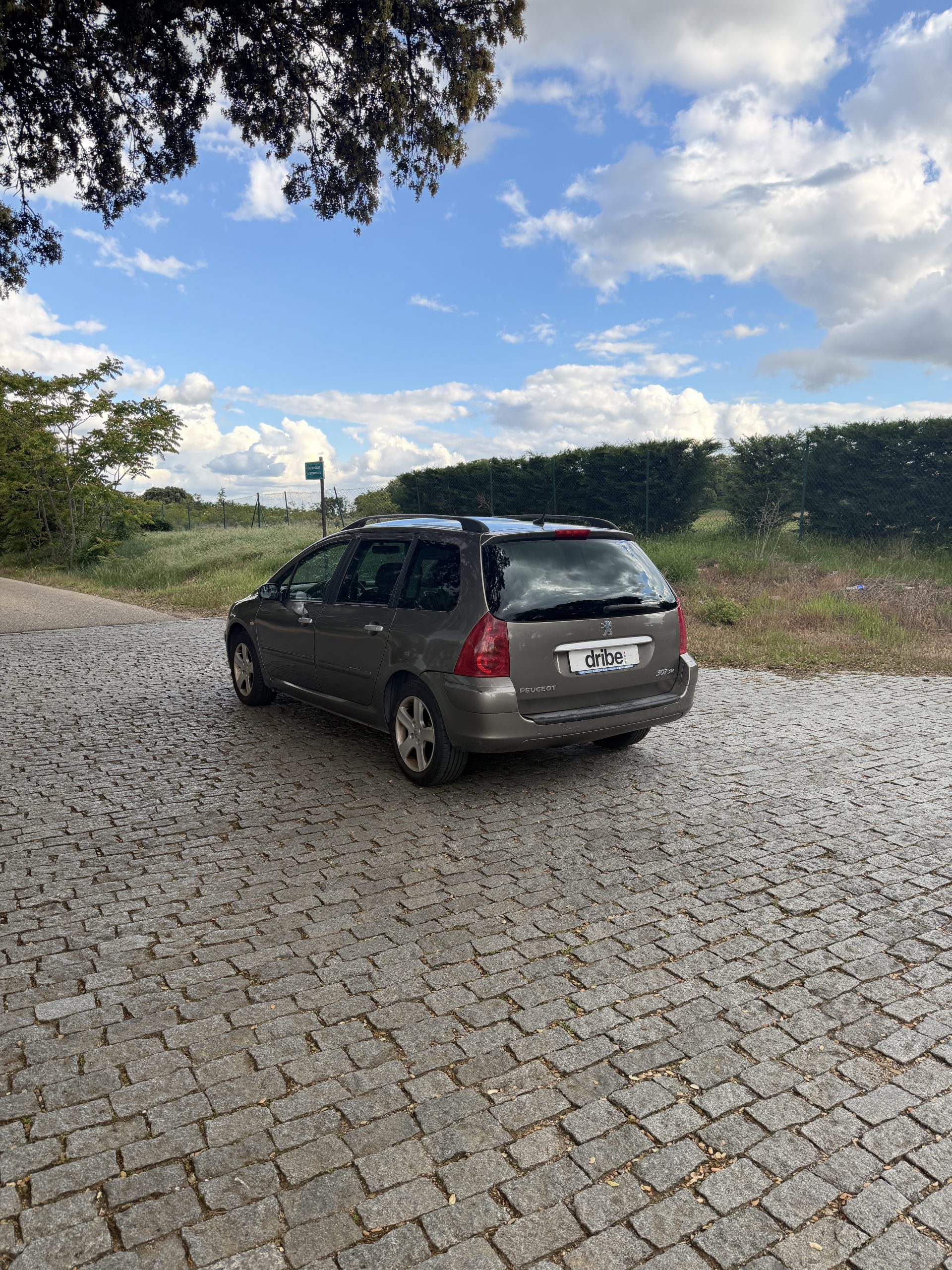 VENDIDO: PEUGEOT 307 SW 2.0 HDI 110CV