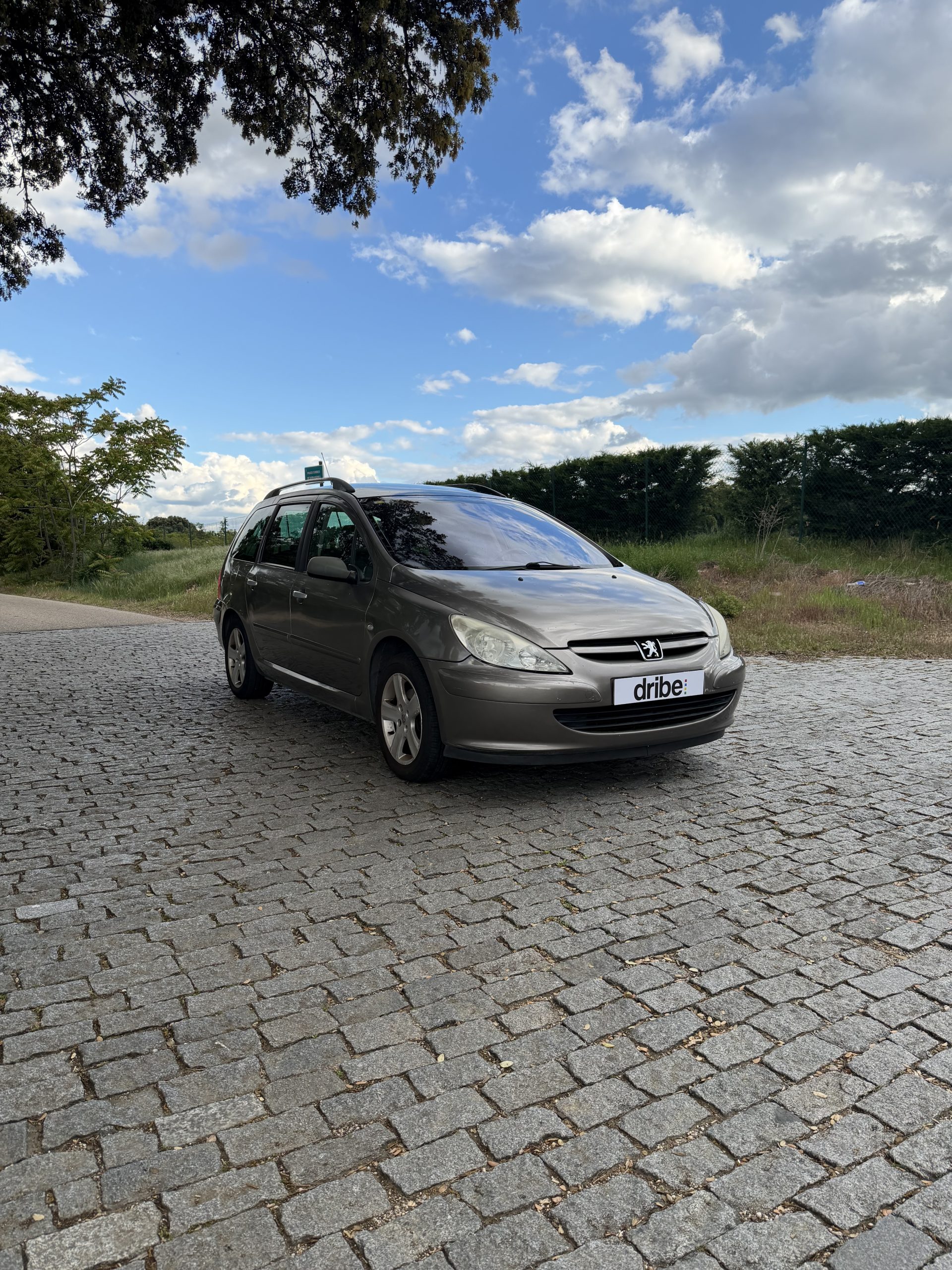 VENDIDO: PEUGEOT 307 SW 2.0 HDI 110CV