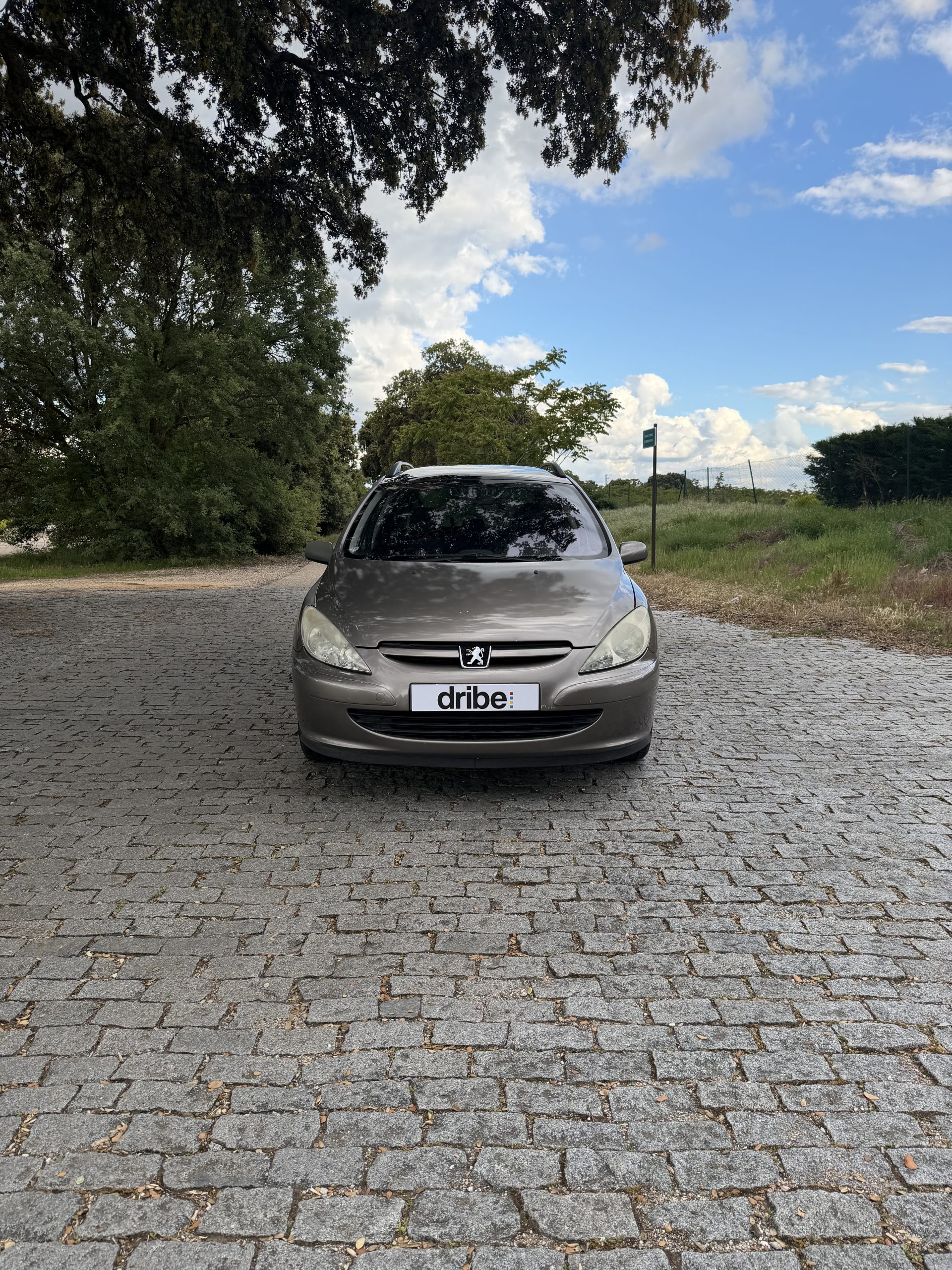 VENDIDO: PEUGEOT 307 SW 2.0 HDI 110CV