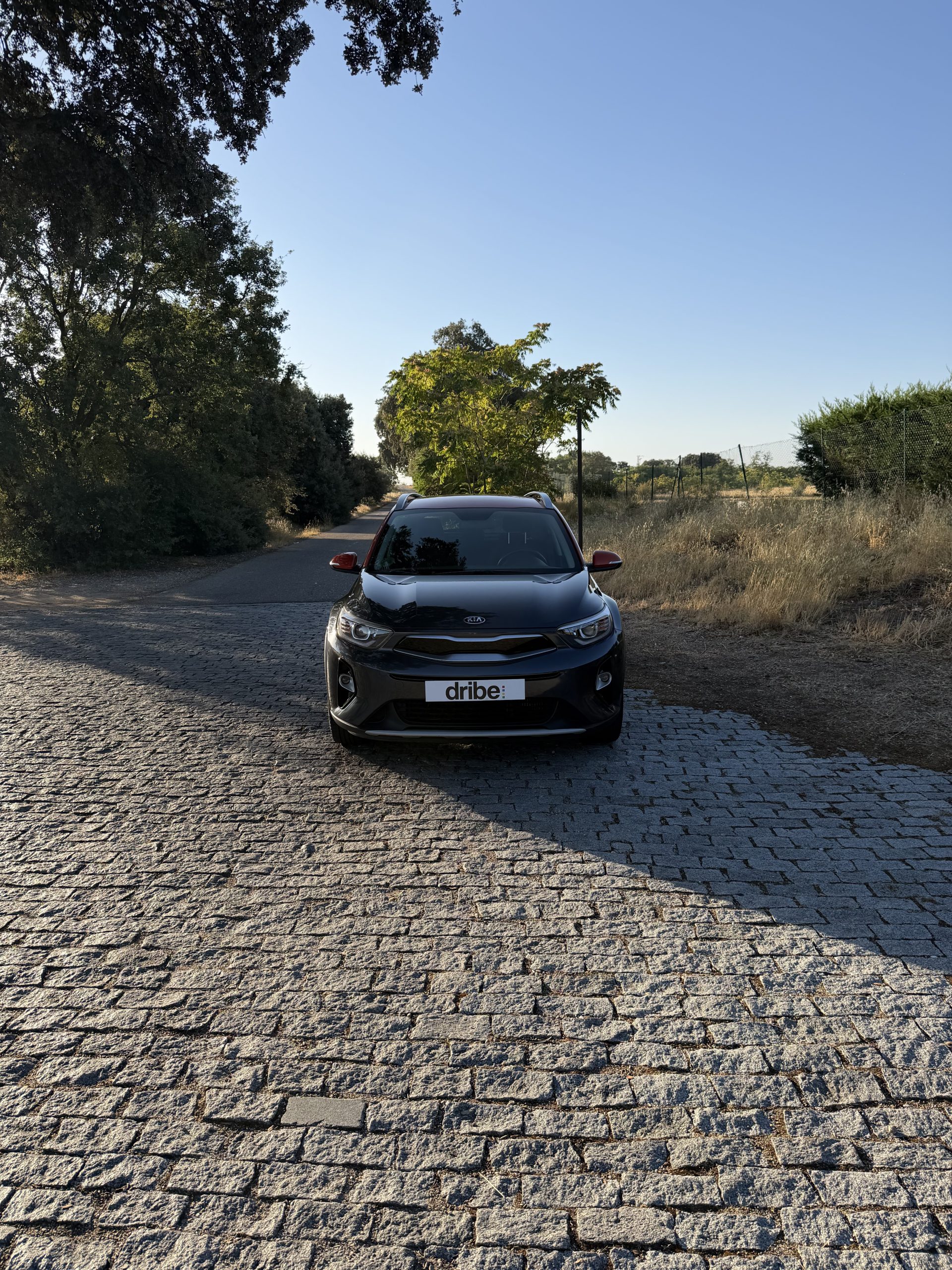 KIA STONIC DRIVE 1.0 TGDI 120CV