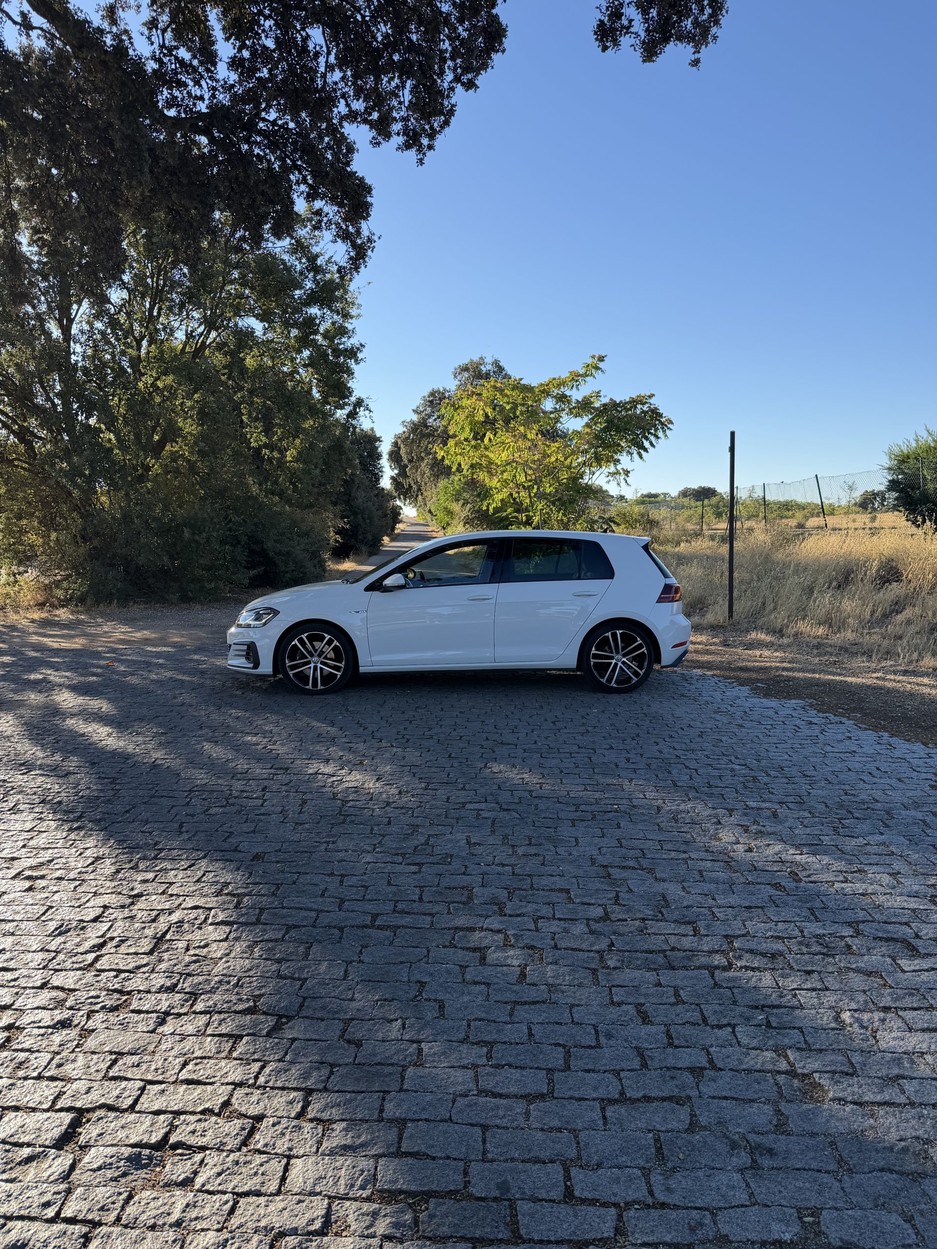 VOLKSWAGEN GOLF GTD 2.0 TDI 184CV