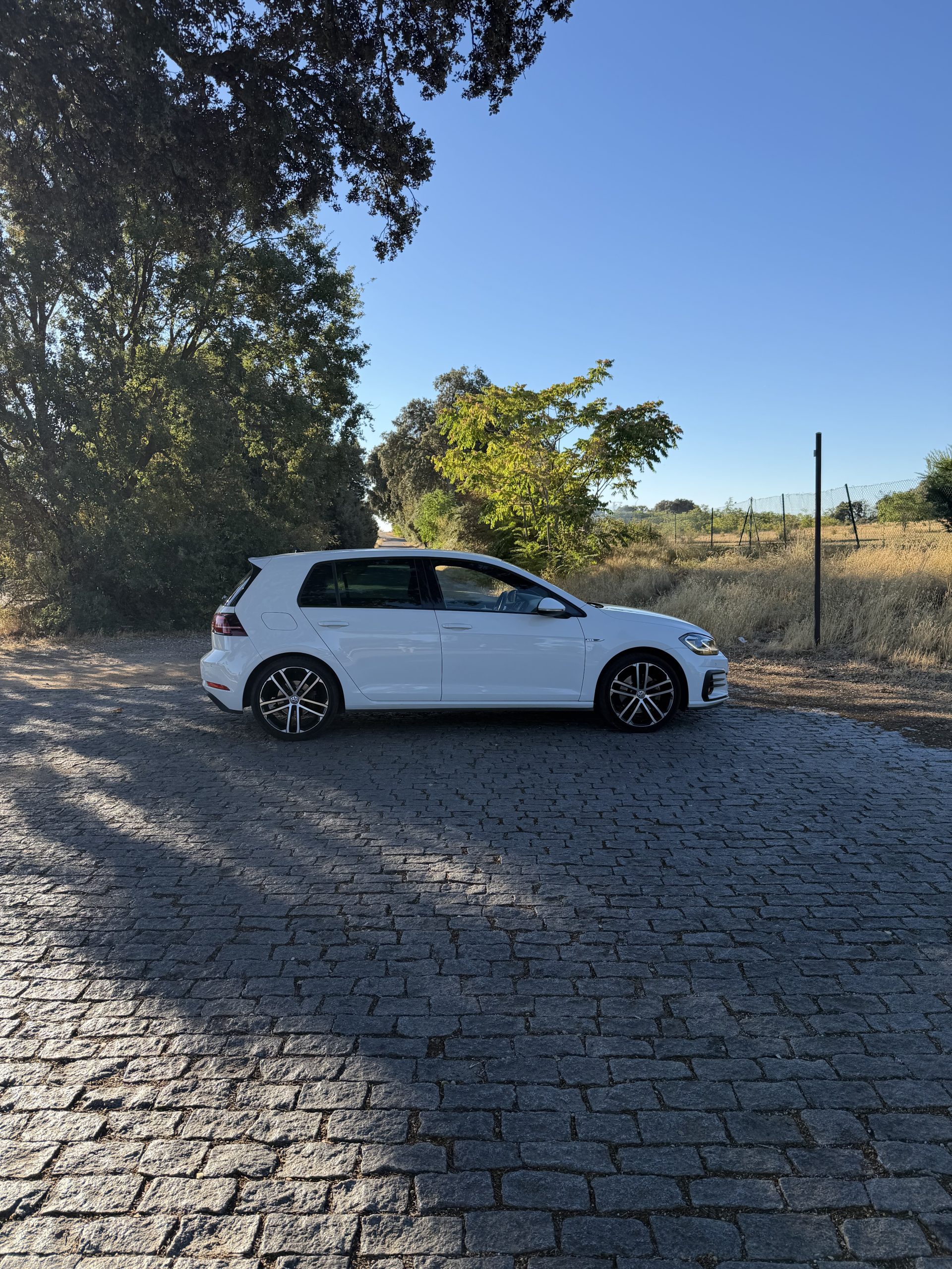VOLKSWAGEN GOLF GTD 2.0 TDI 184CV