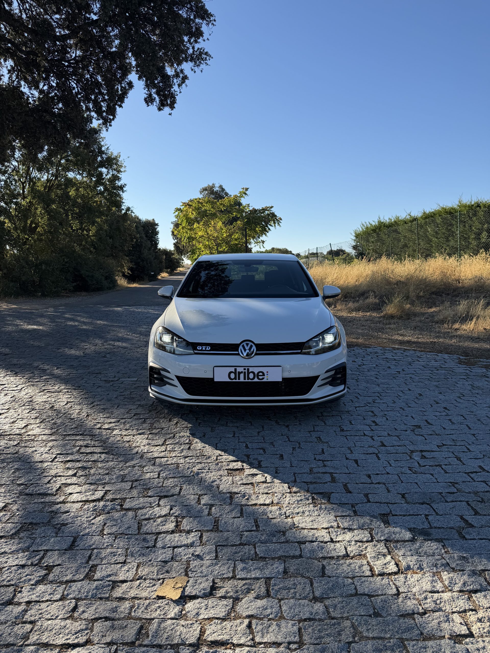 VOLKSWAGEN GOLF GTD 2.0 TDI 184CV