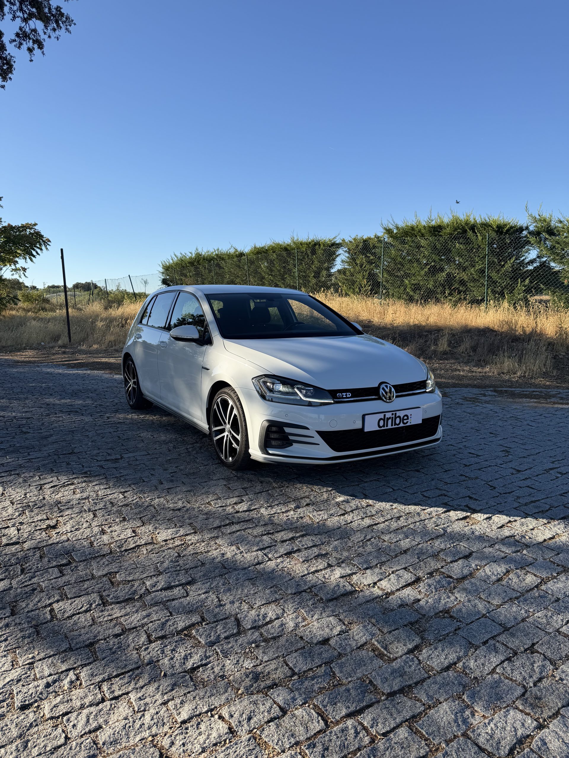 VOLKSWAGEN GOLF GTD 2.0 TDI 184CV
