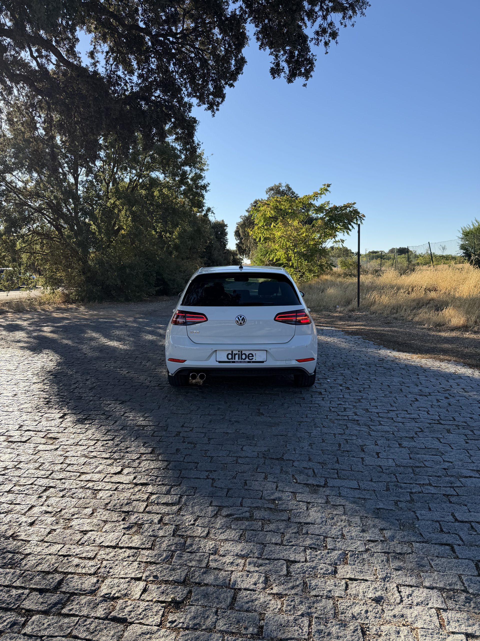 VOLKSWAGEN GOLF GTD 2.0 TDI 184CV