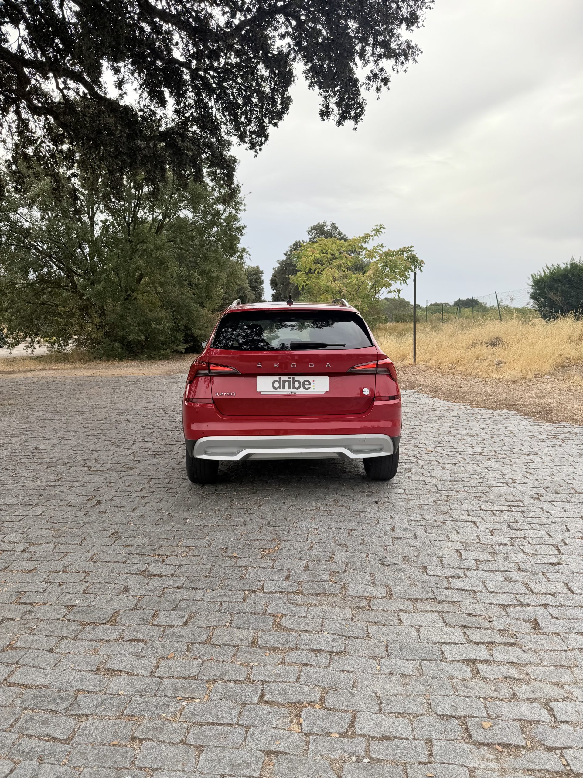 SKODA KAMIQ SCOUT LINE TSI 110CV