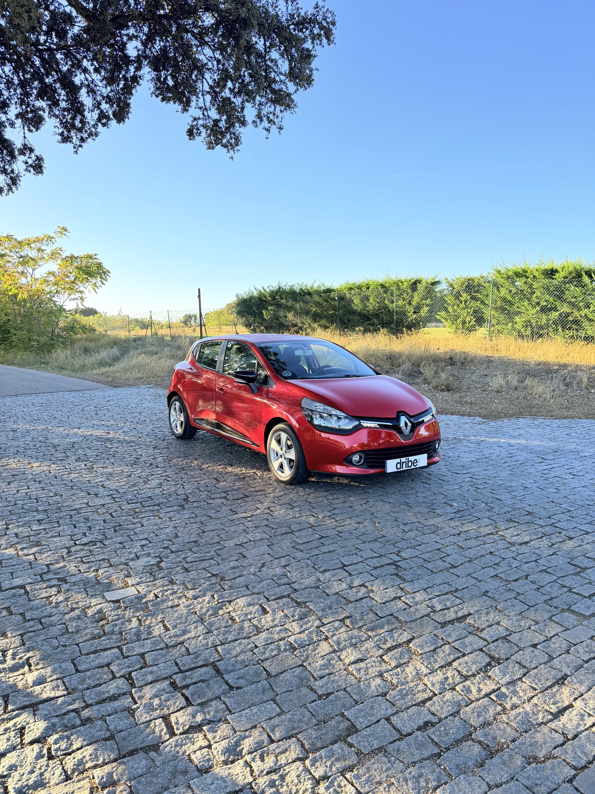 RENAULT CLIO EXPRESSION 1.5 dCi 110CV
