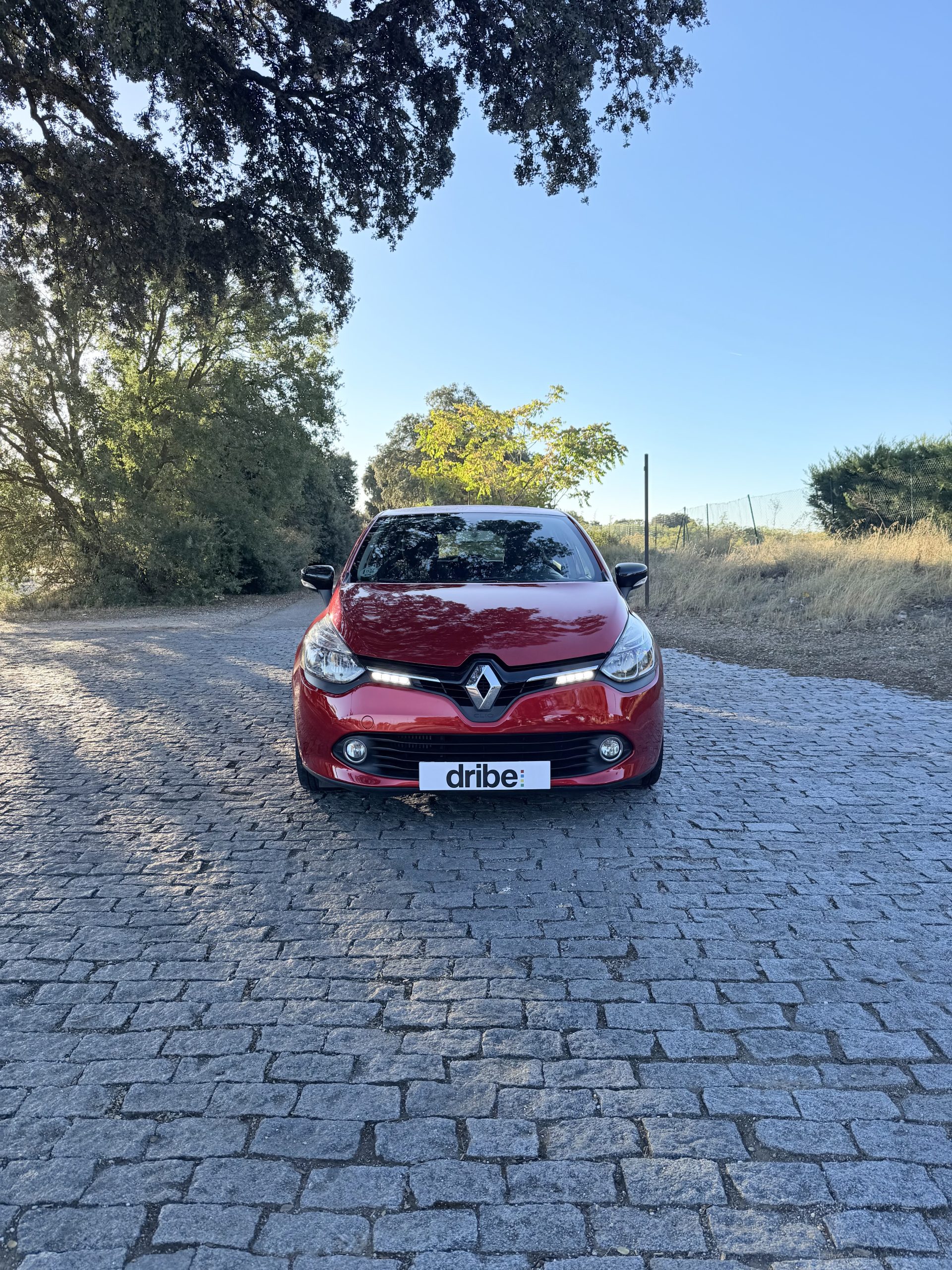 RENAULT CLIO EXPRESSION 1.5 dCi 110CV