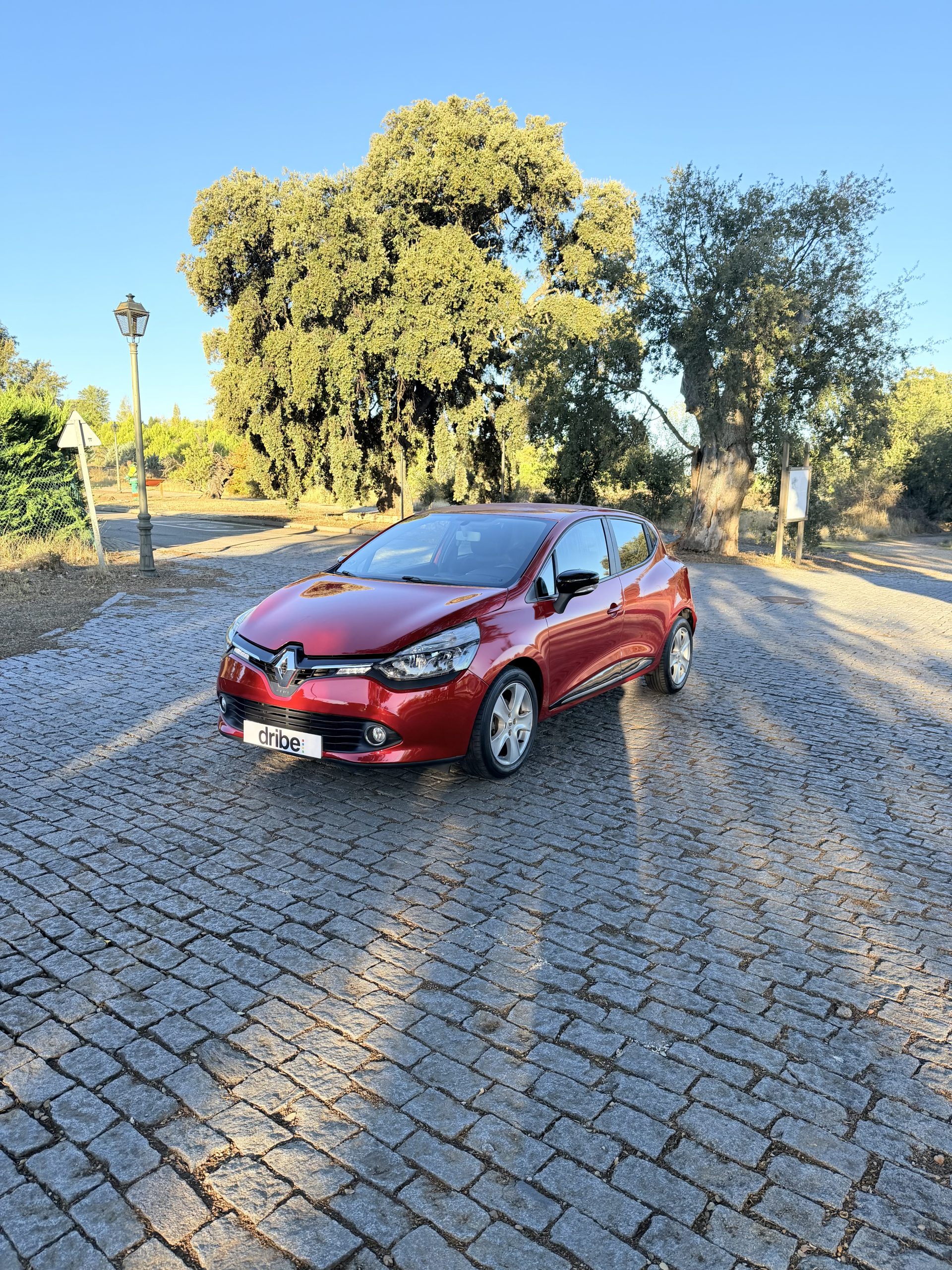 RENAULT CLIO EXPRESSION 1.5 dCi 110CV